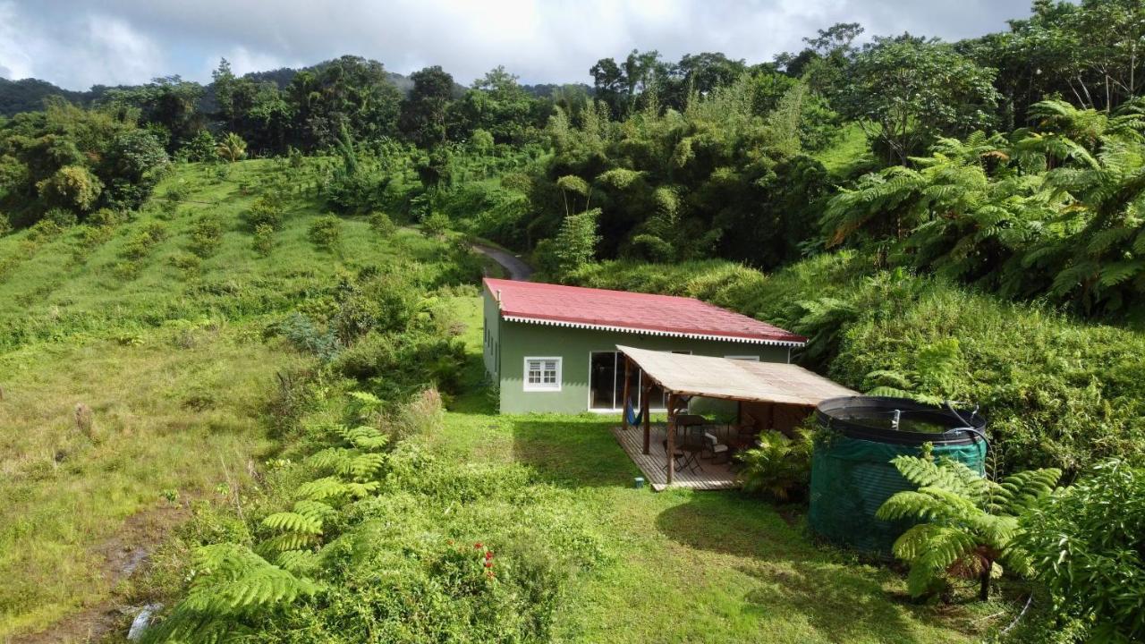 Chambre Et Sdb Privative Ylang Ylang Vue Mont Pelee Dans Maison Partagee Le Morne-Rouge Exterior photo